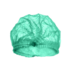 peakatted-varvilised